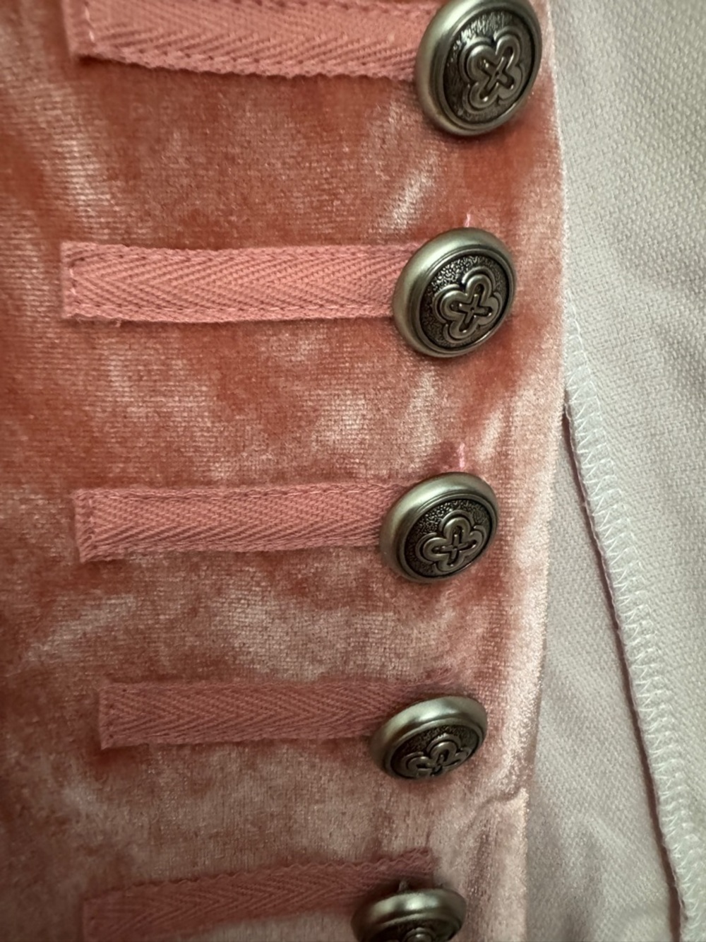 Vintage-Inspired Pink Velvet Embroidered Tailcoat Jacket - Picture 5 of 7